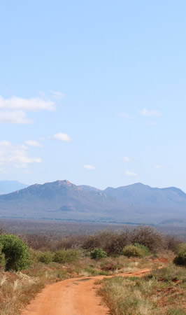tsavo west national park