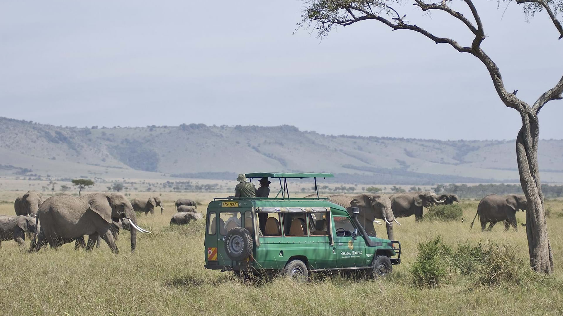 3 Days Maasai Mara Game Reserve - Mara Serena Safari Lodge from Kenya Coast