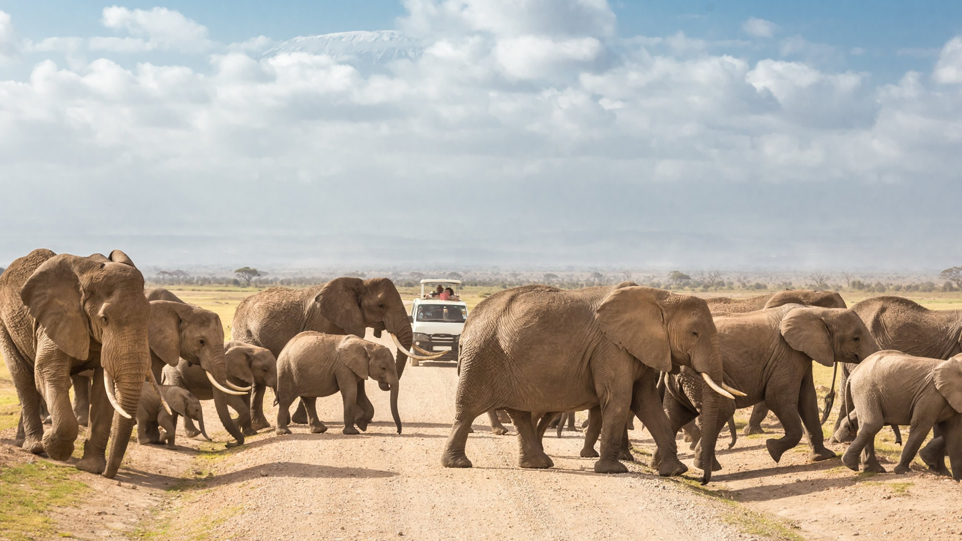 amboseli national park amboseli national park
