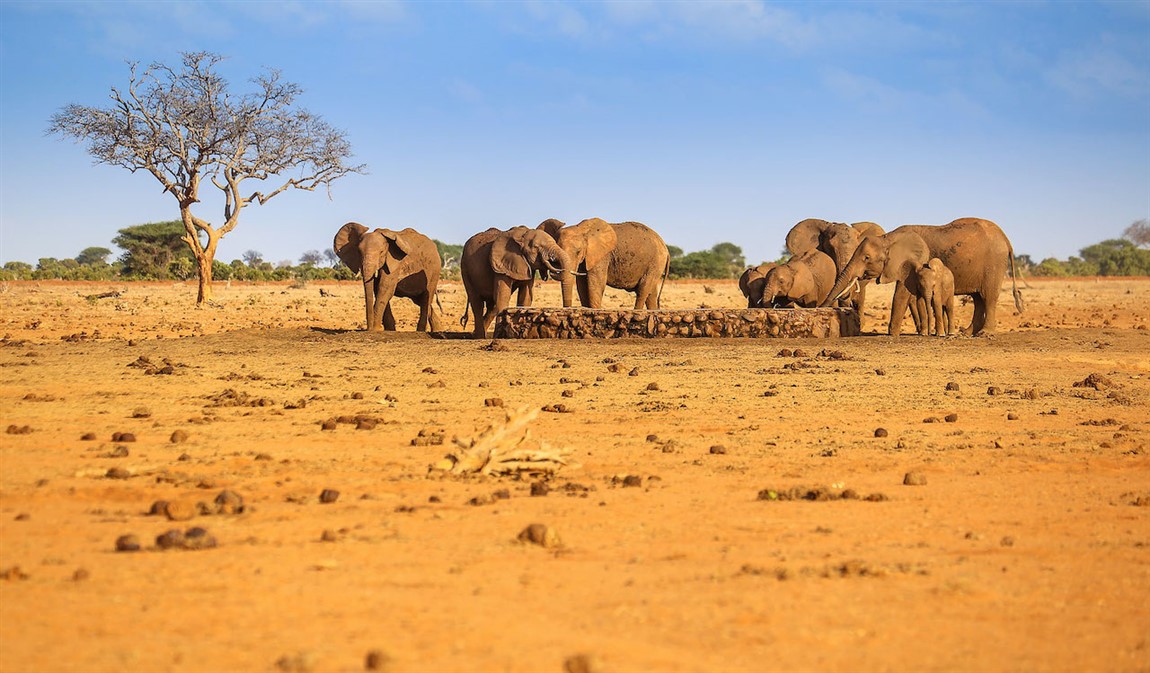 2 days tsavo east national park 2 days tsavo east national park