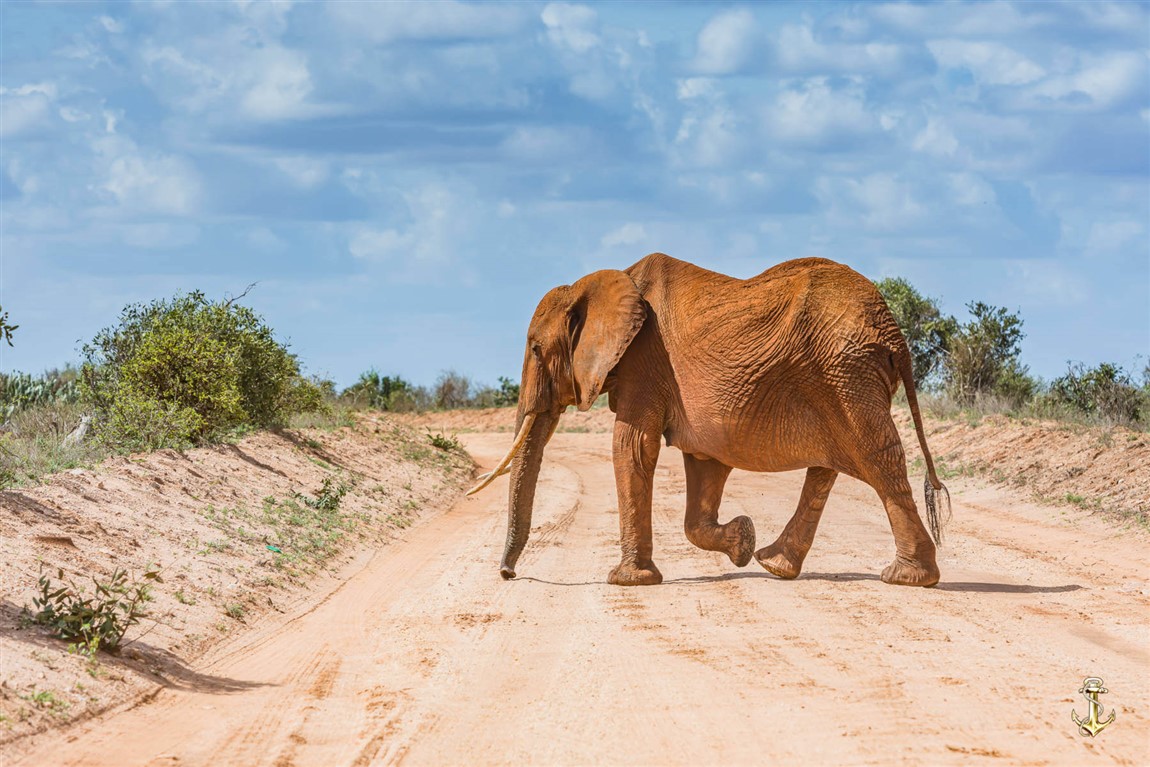 2 days tsavo east national park & taita hills sanctuary 2 days tsavo east national park & taita hills sanctuary