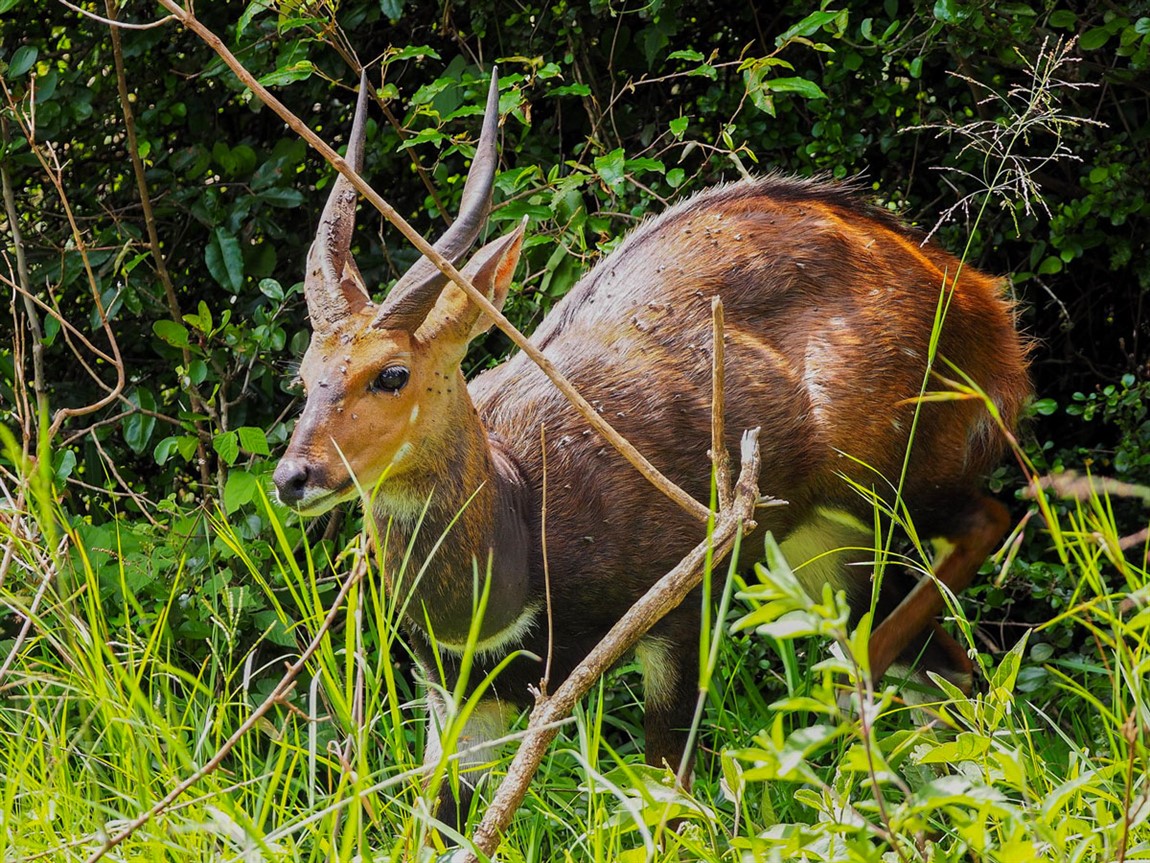 2 days tsavo east national park & taita hills sanctuary 2 days tsavo east national park & taita hills sanctuary