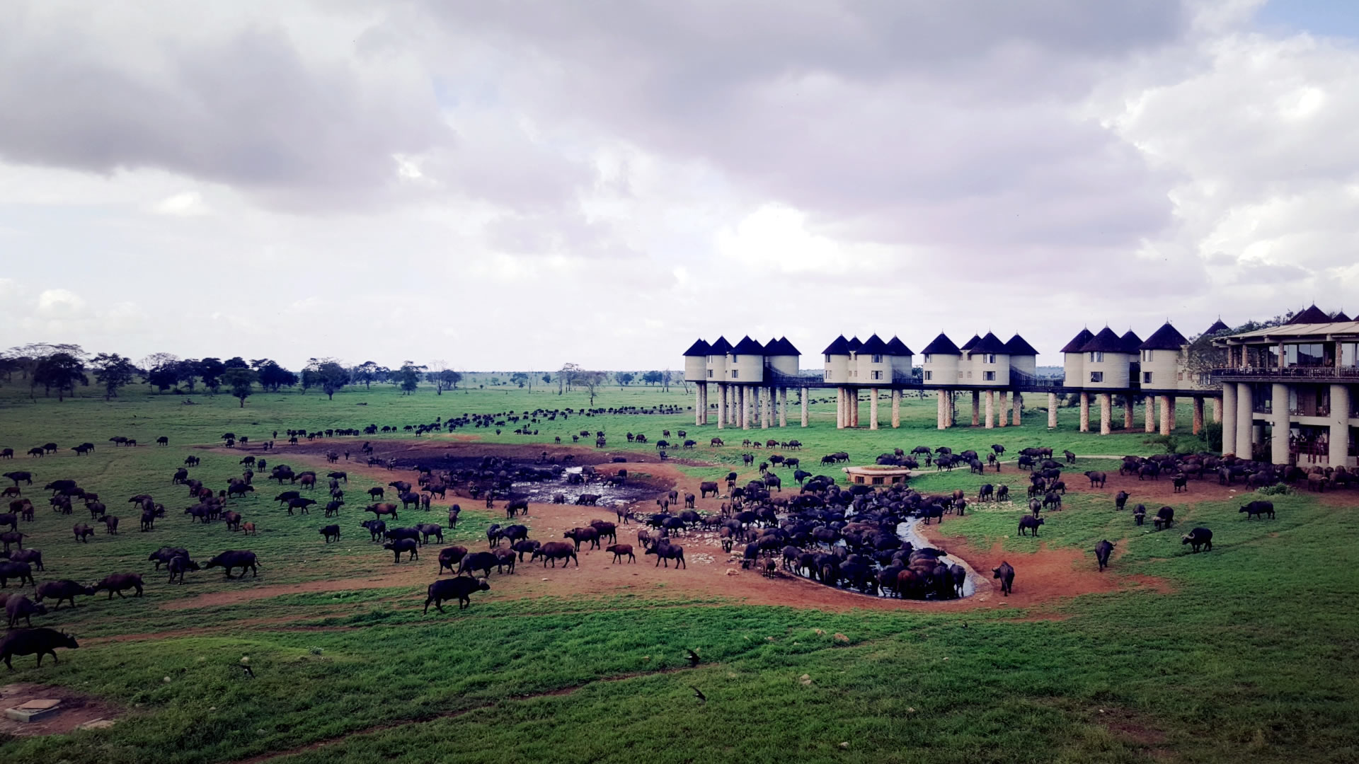 2 days tsavo east national park & taita hills sanctuary 2 days tsavo east national park & taita hills sanctuary