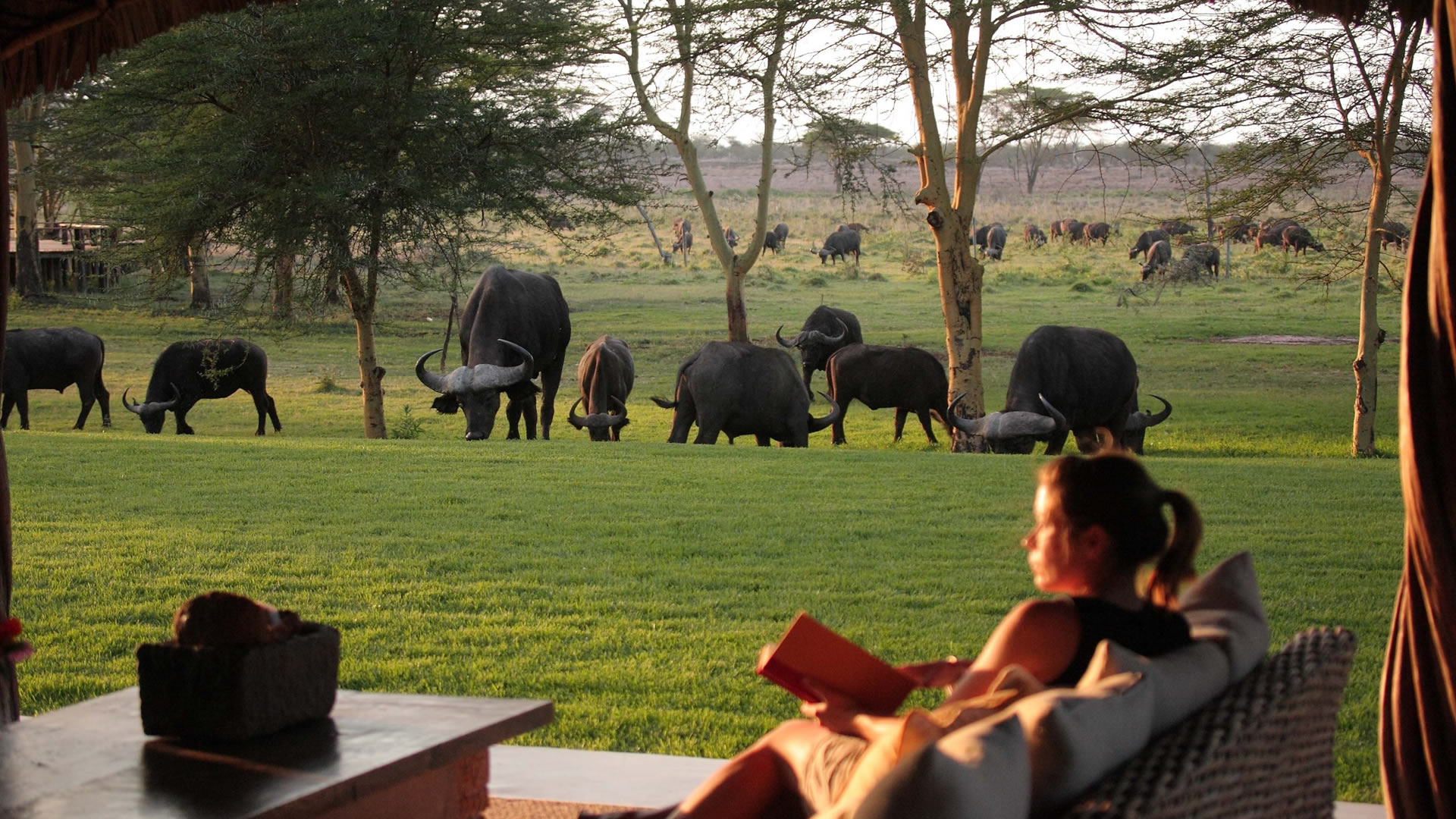 4 Days Lewa Wildlife Conservancy 