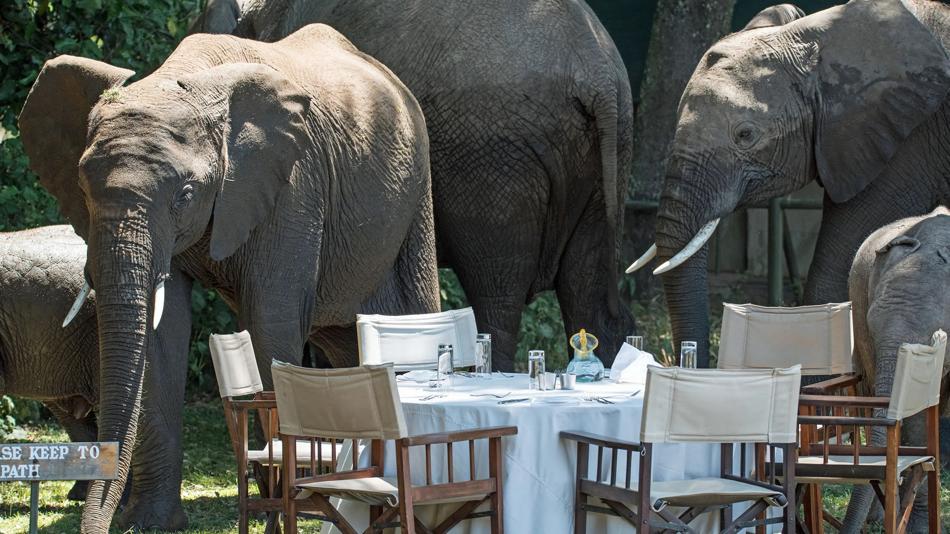 5 Days Great Rift Valley and Maasai Mara Game Reserve