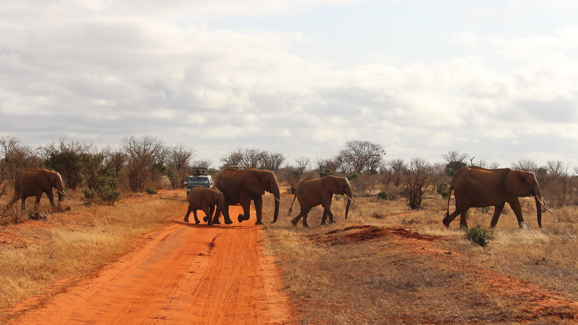 7 Days Trendy Serena Hotels Kenya 