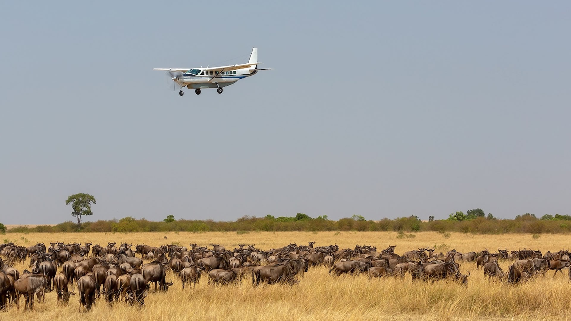 8 Days Sky Safari Kenya Classic