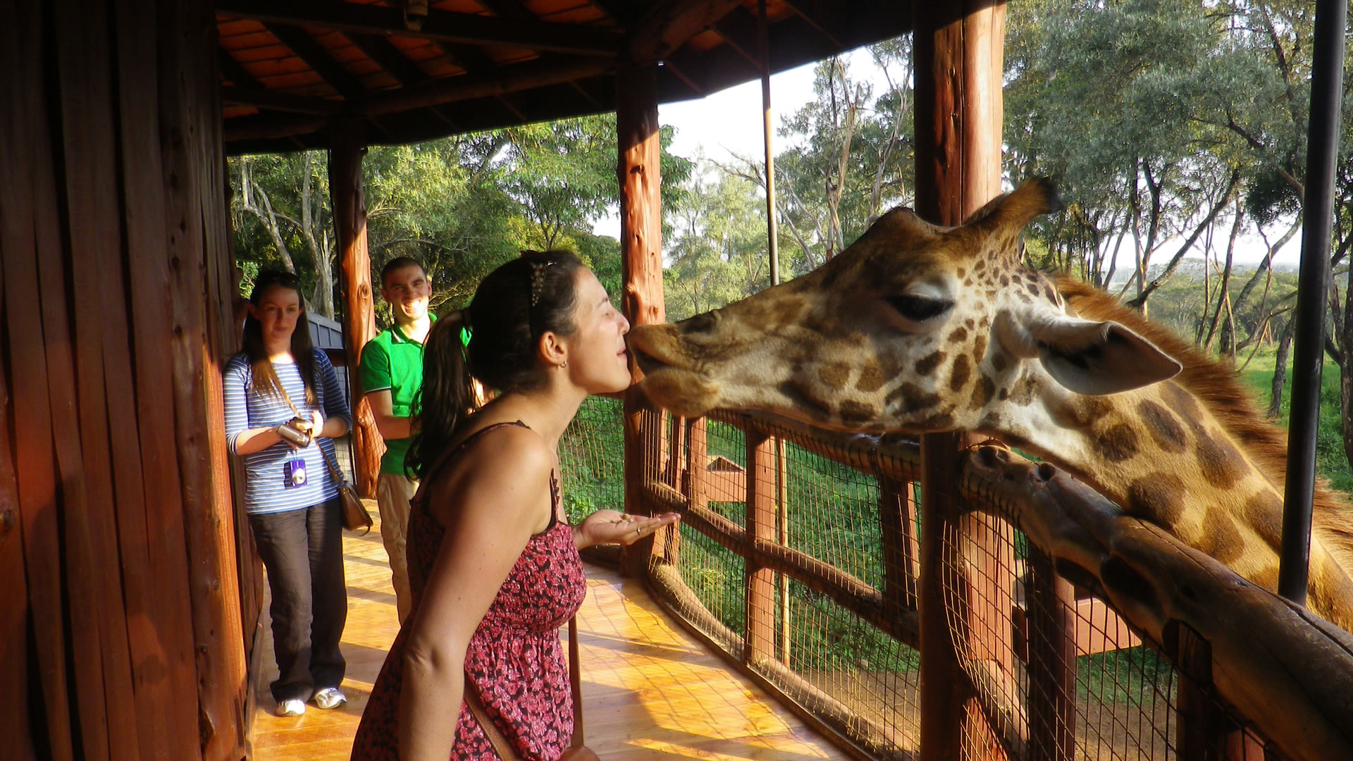 Half Day Giraffe Center Half Day Giraffe Center
