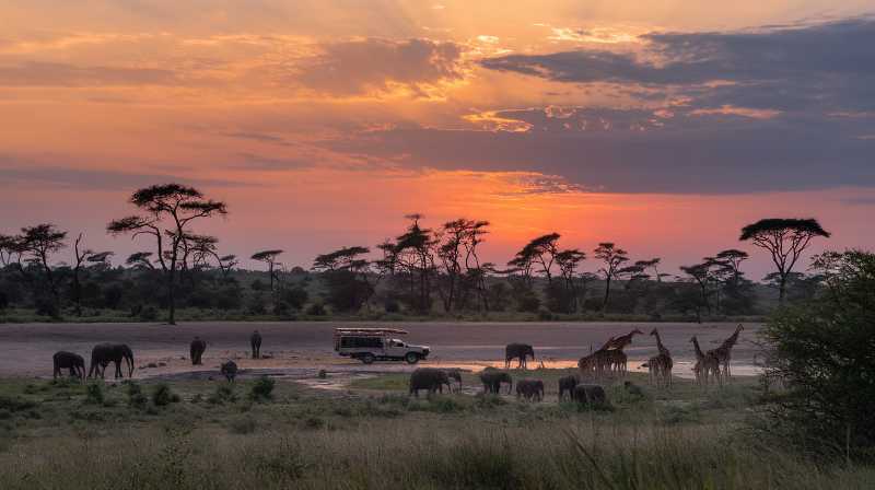 3 Days Maasai Mara Game Reserve - Ashnil Mara Camp from Kenya Coast 