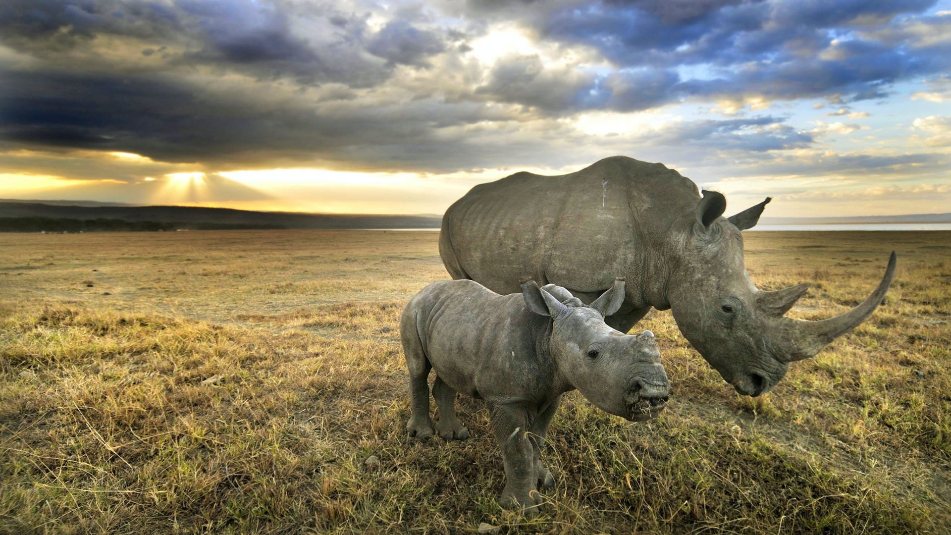 kenya top destinations
