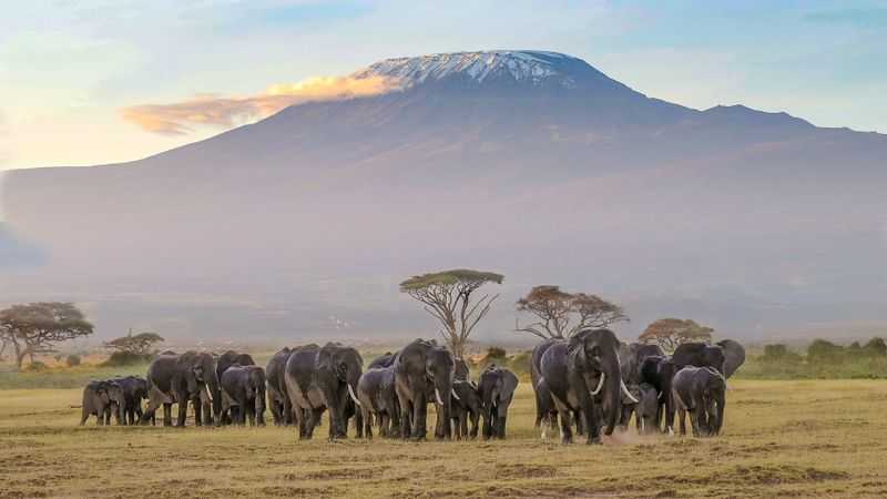 aberdare national park